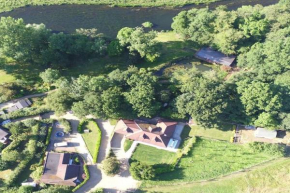 New Forest Cottages